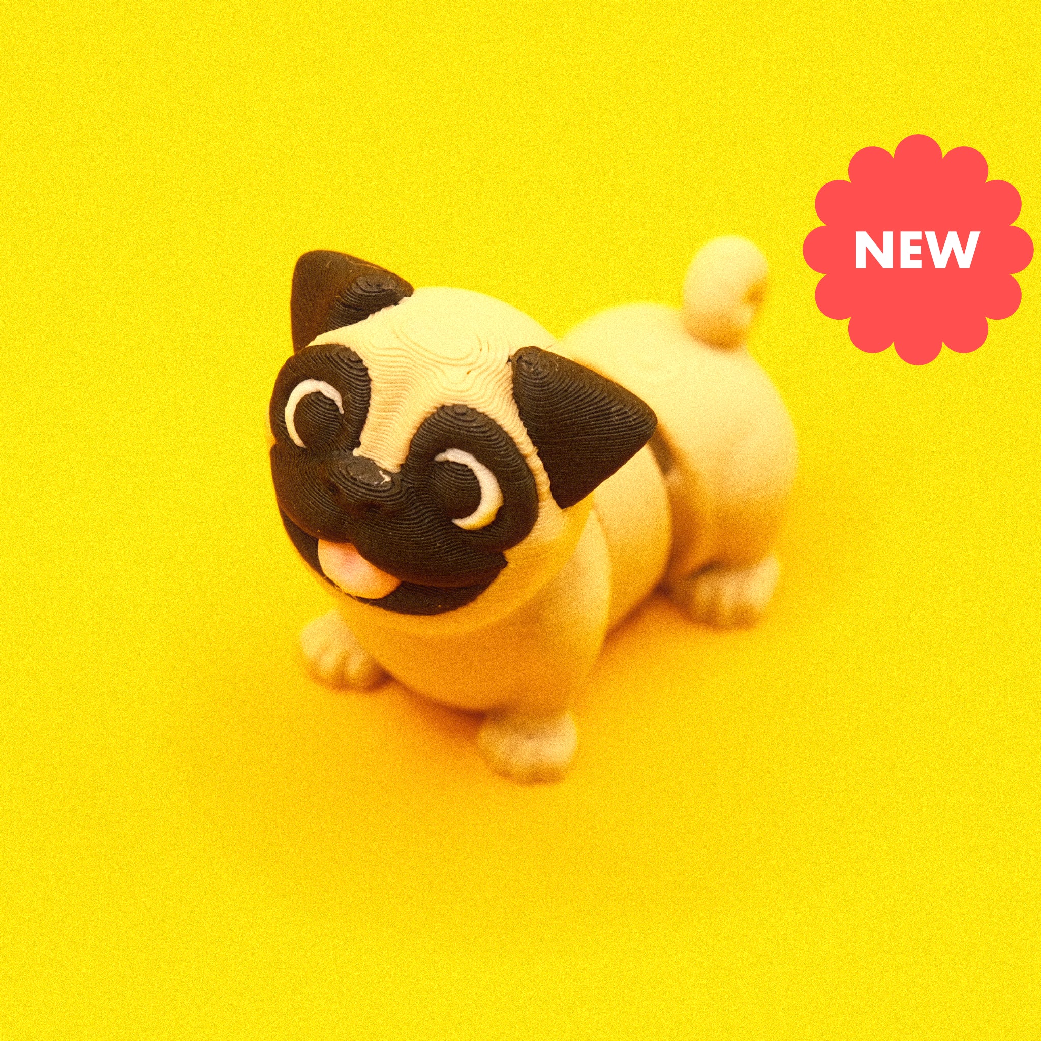 Pug