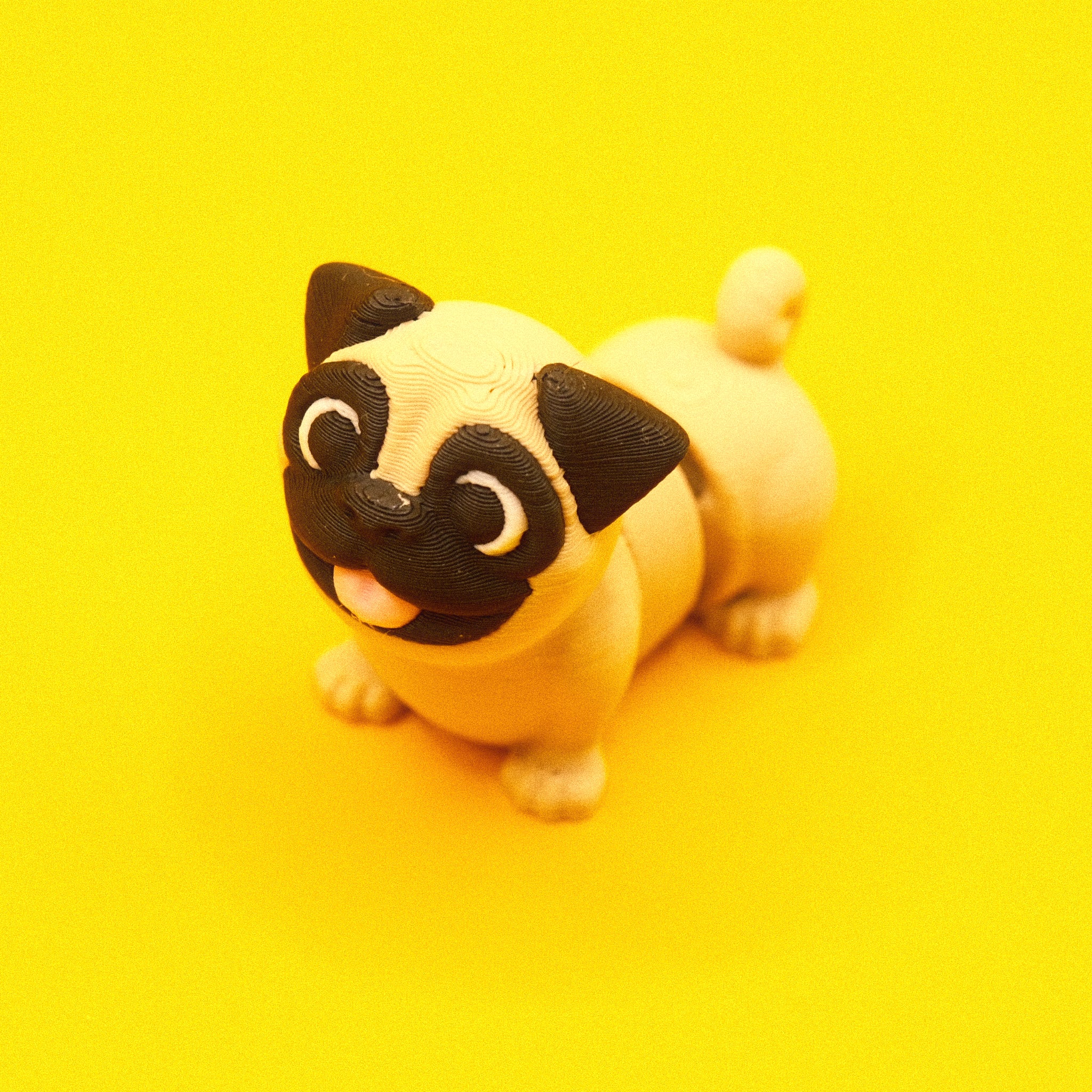 Pug