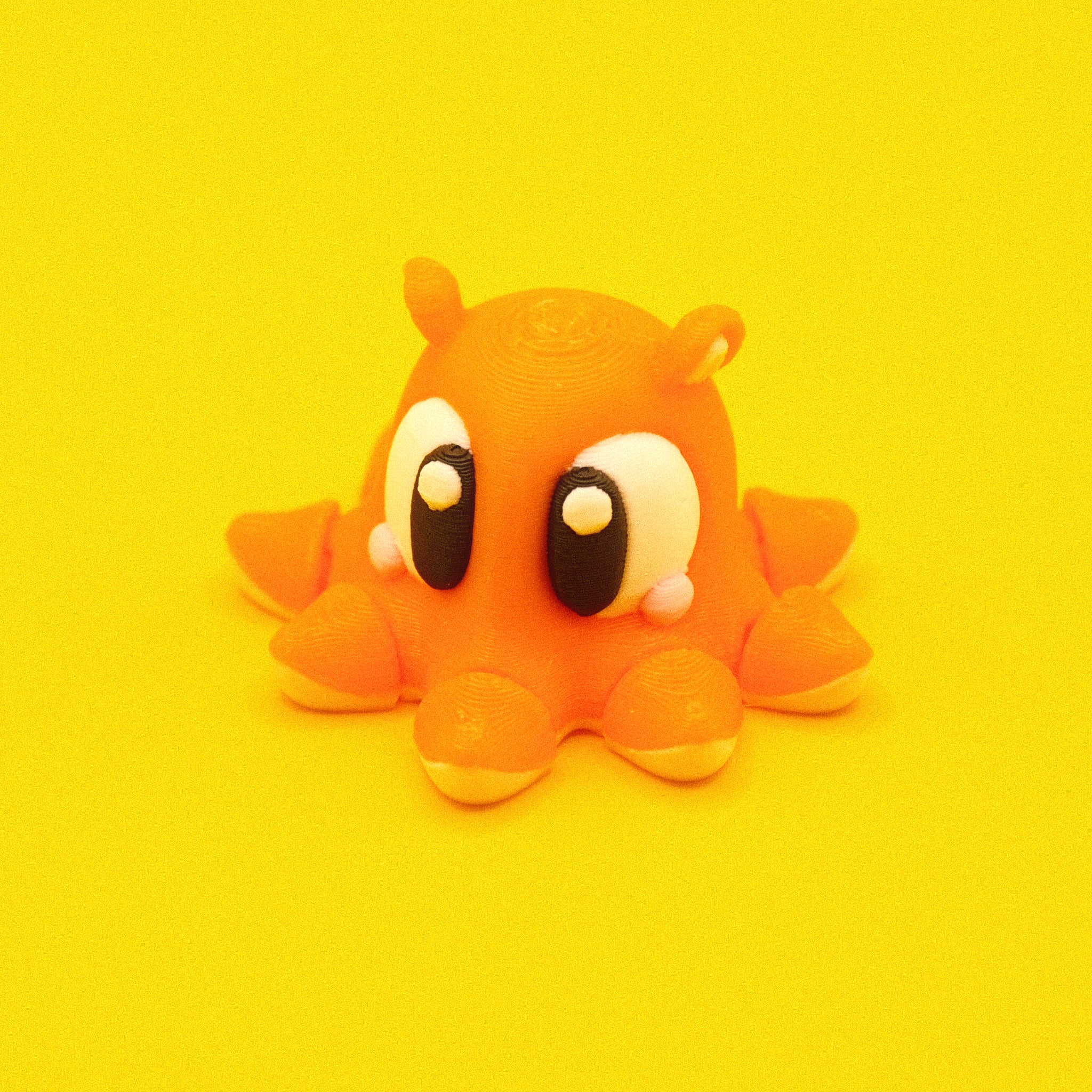 Flapjack Octopus