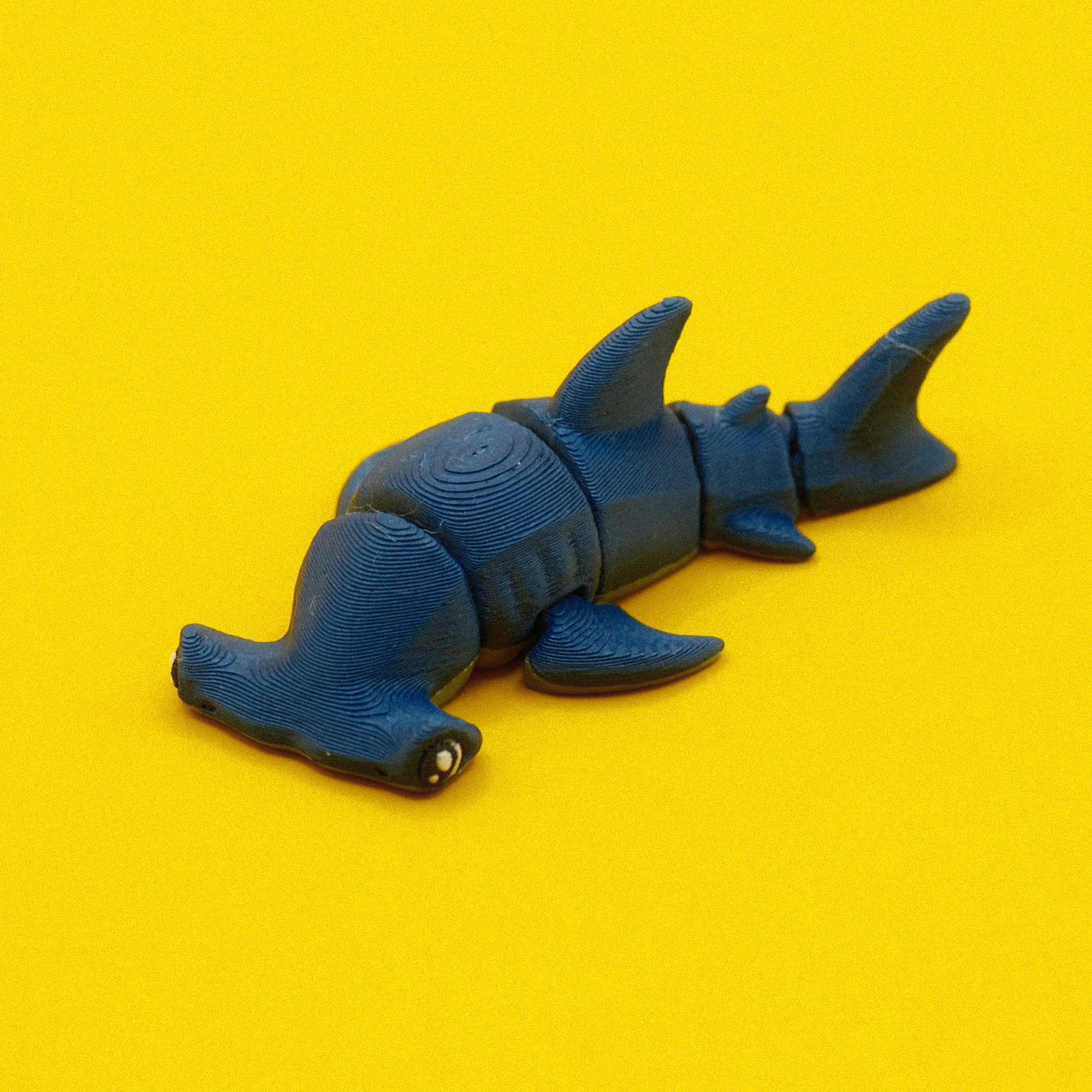 Hammerhead Shark