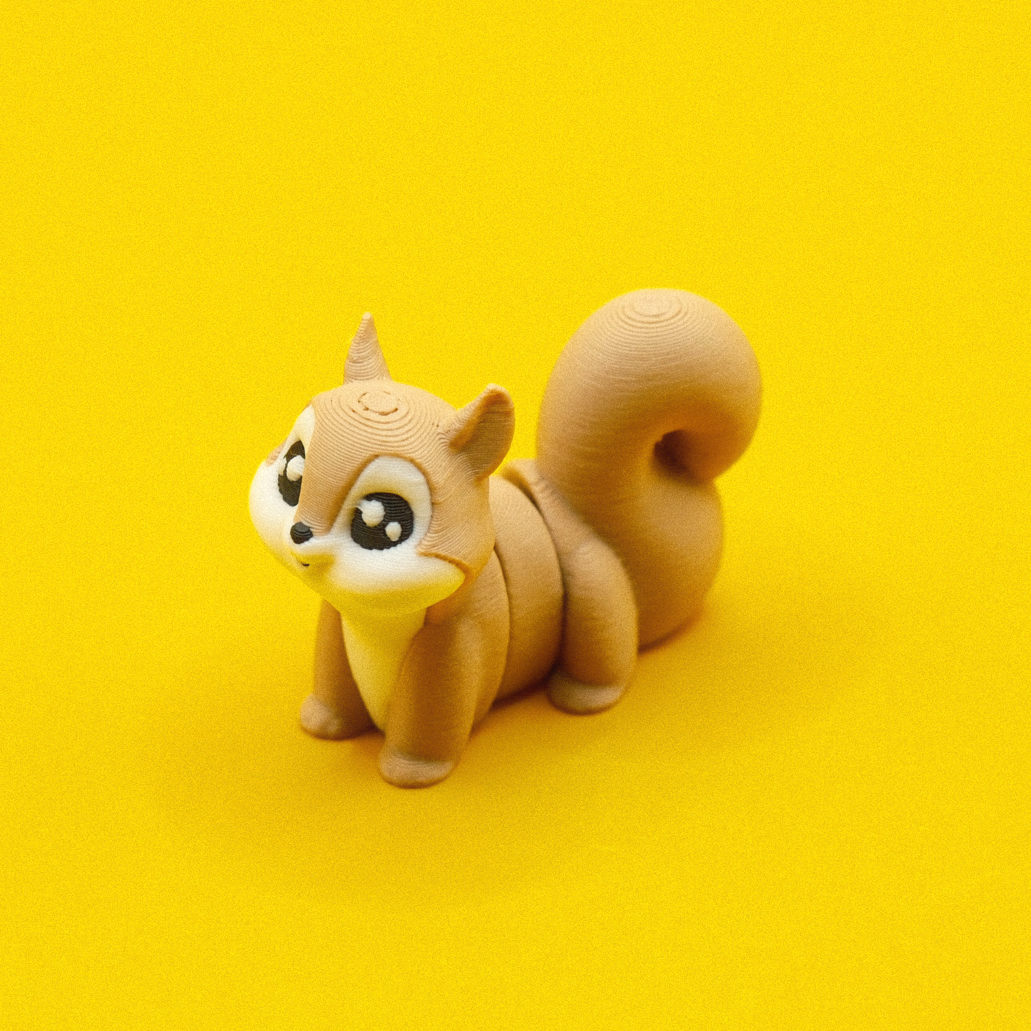 Squirrel