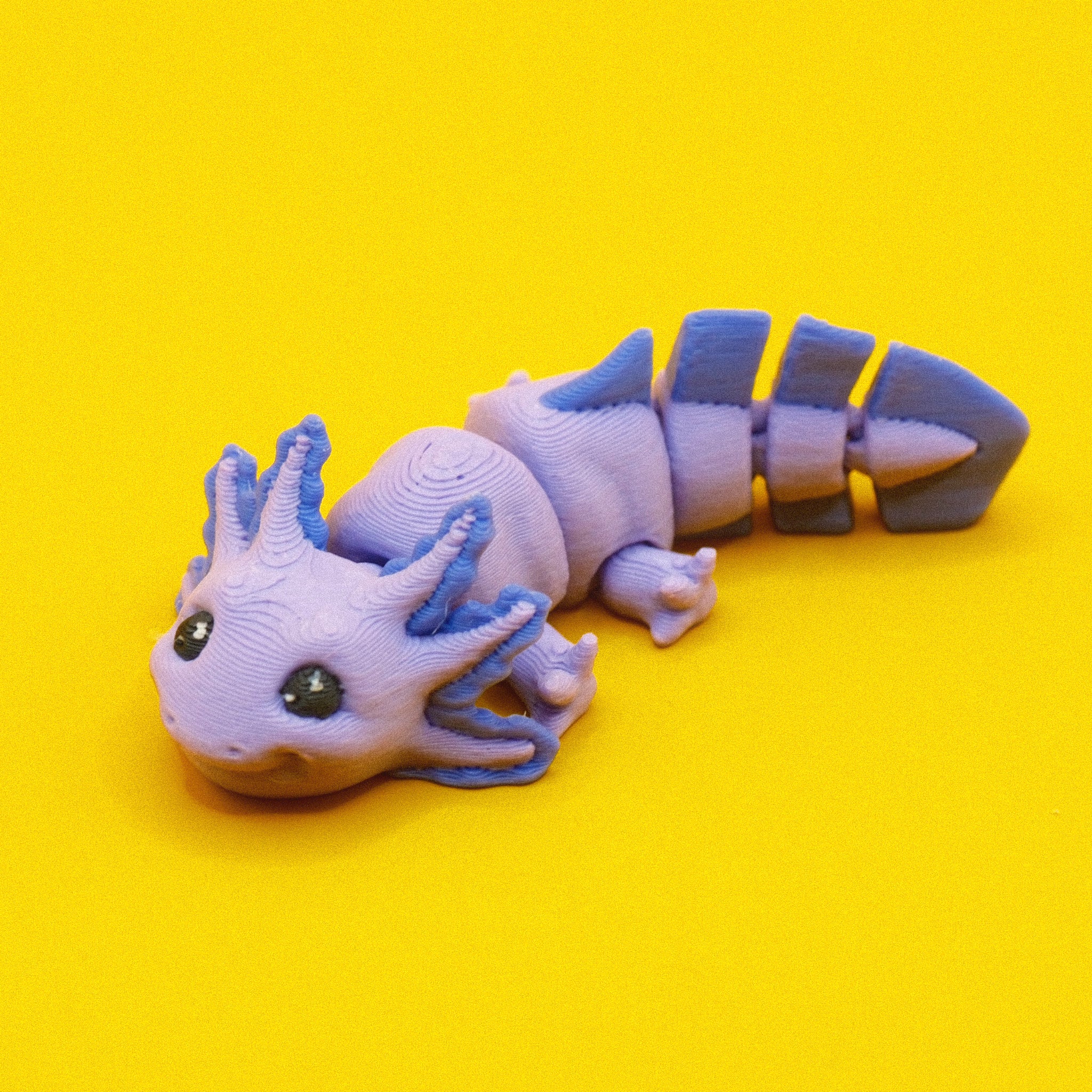 Axolotl