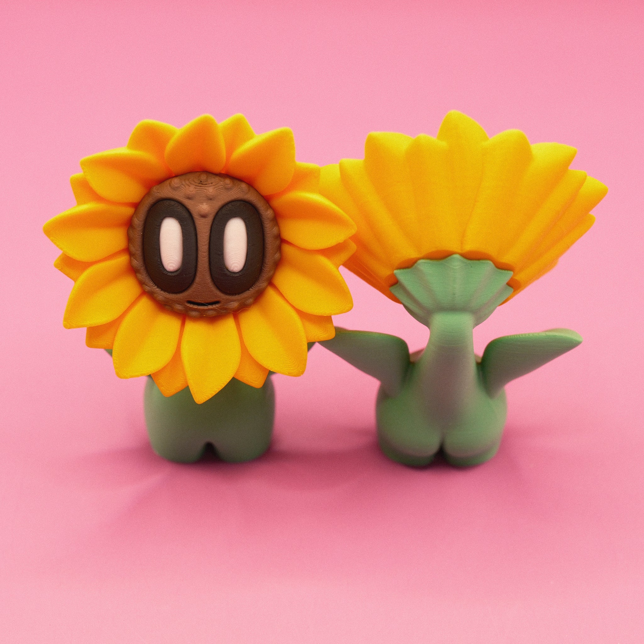Sunflower with Normal Leaf