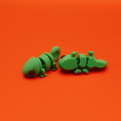 Baby Chameleon