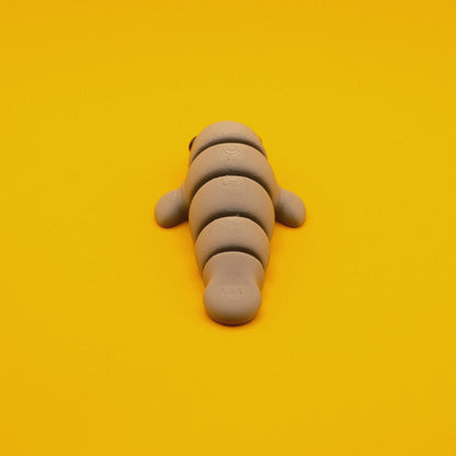 Baby Manatee