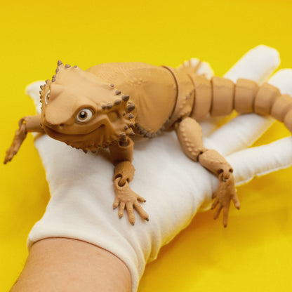 Bearded Dragon