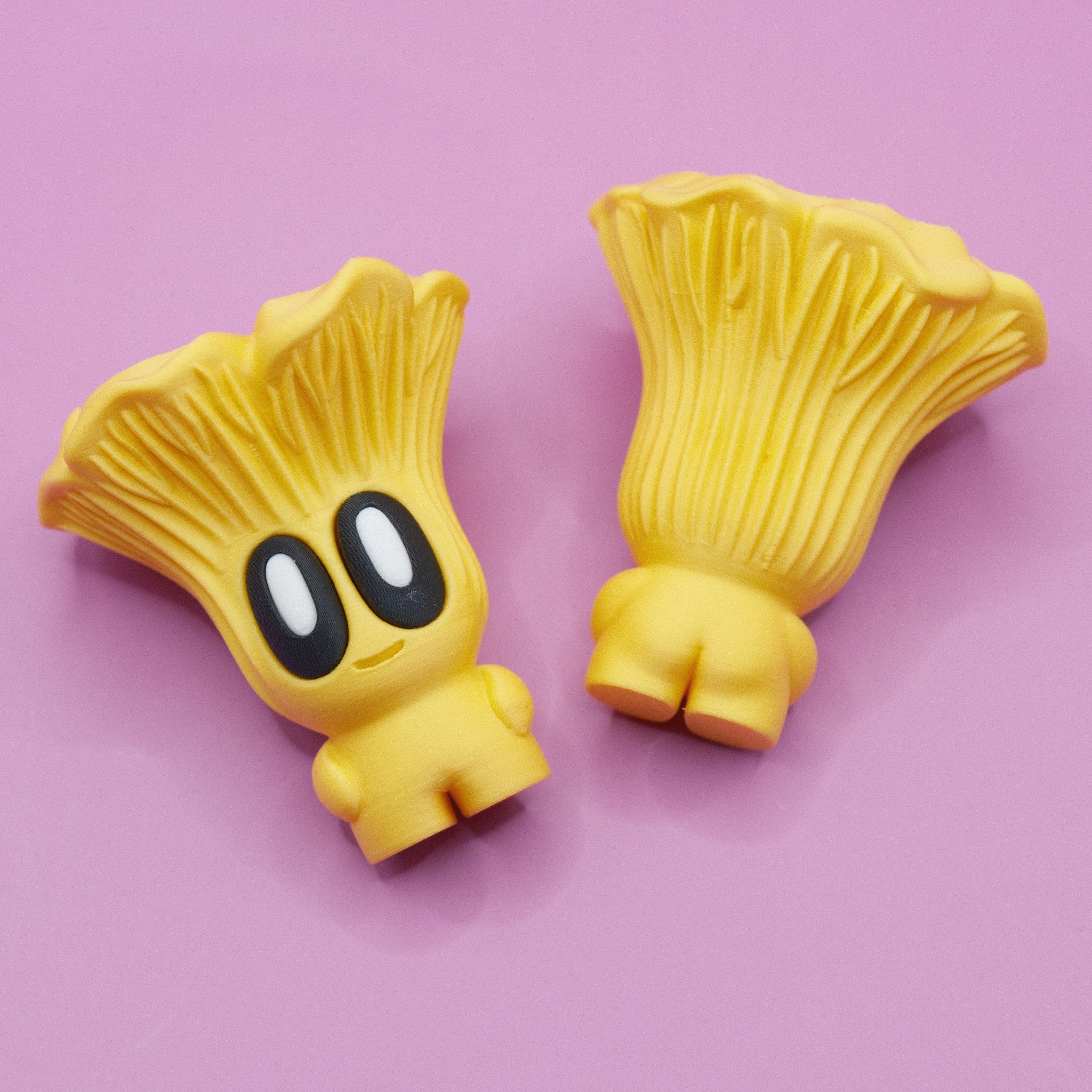 Chanterelle Mushroom