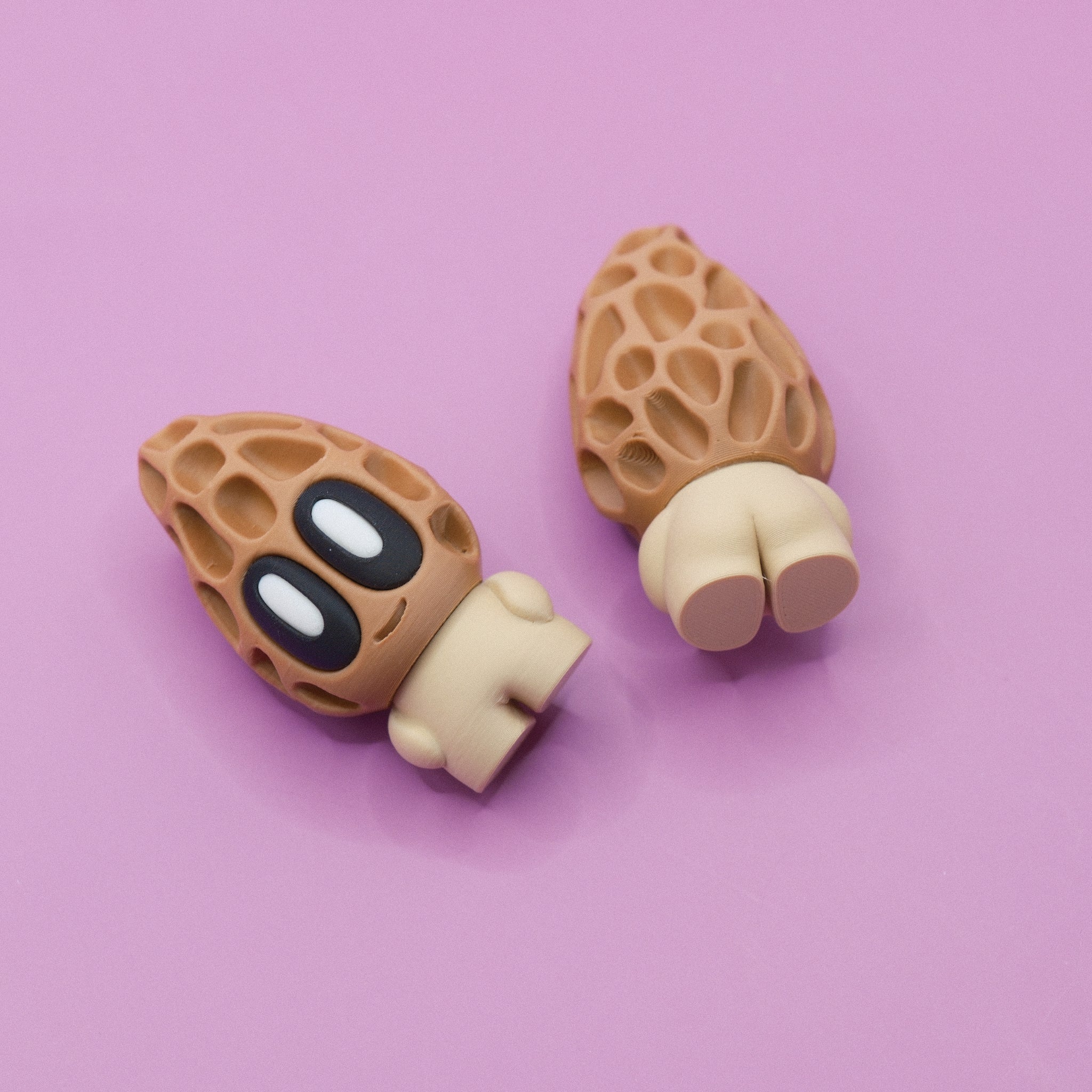 Morel Mushroom