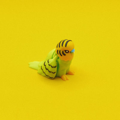 Budgie