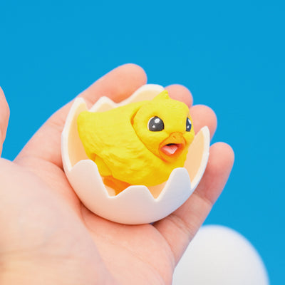 Baby Chick in Egg