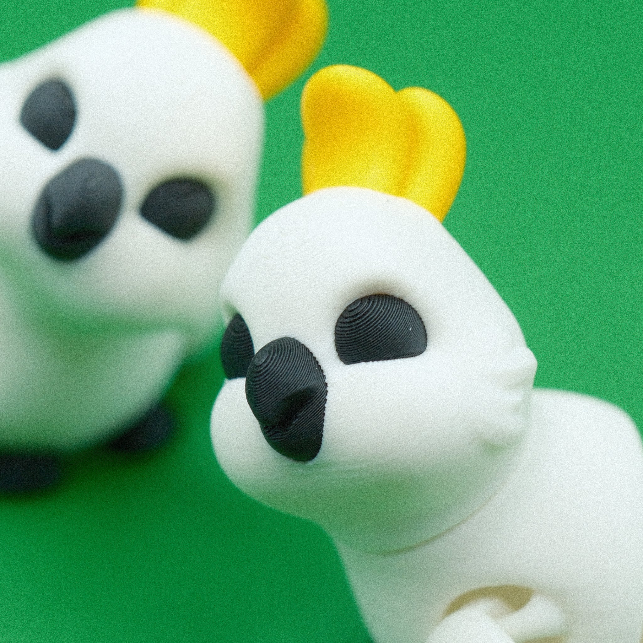 Cockatoo