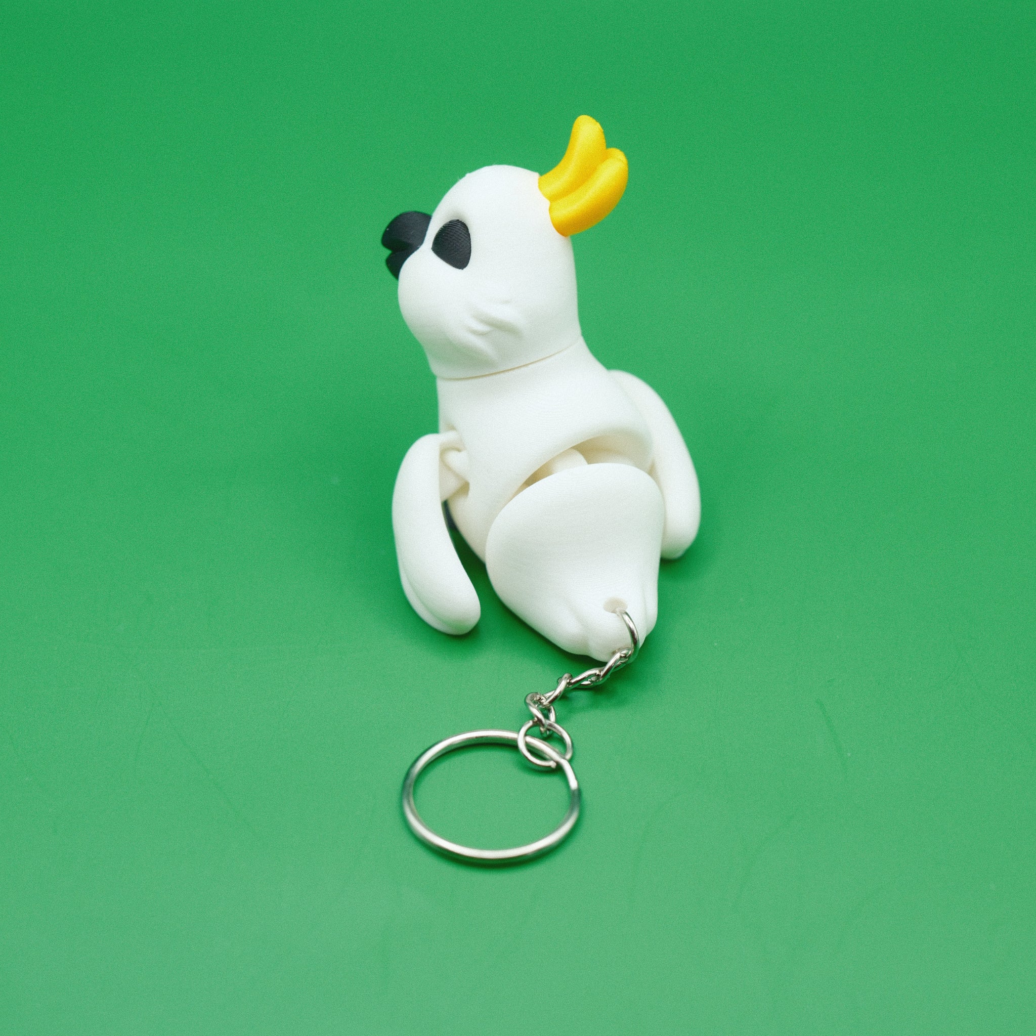 Cockatoo