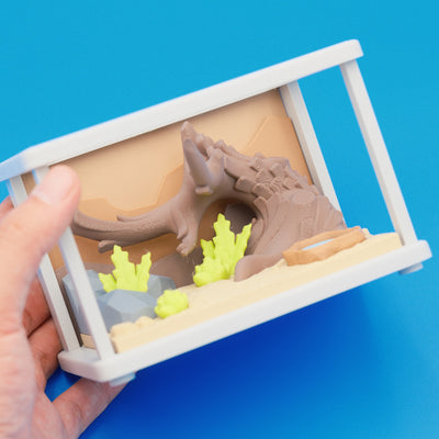 Terrarium Enclosure