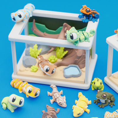 Build Your Terrarium Set