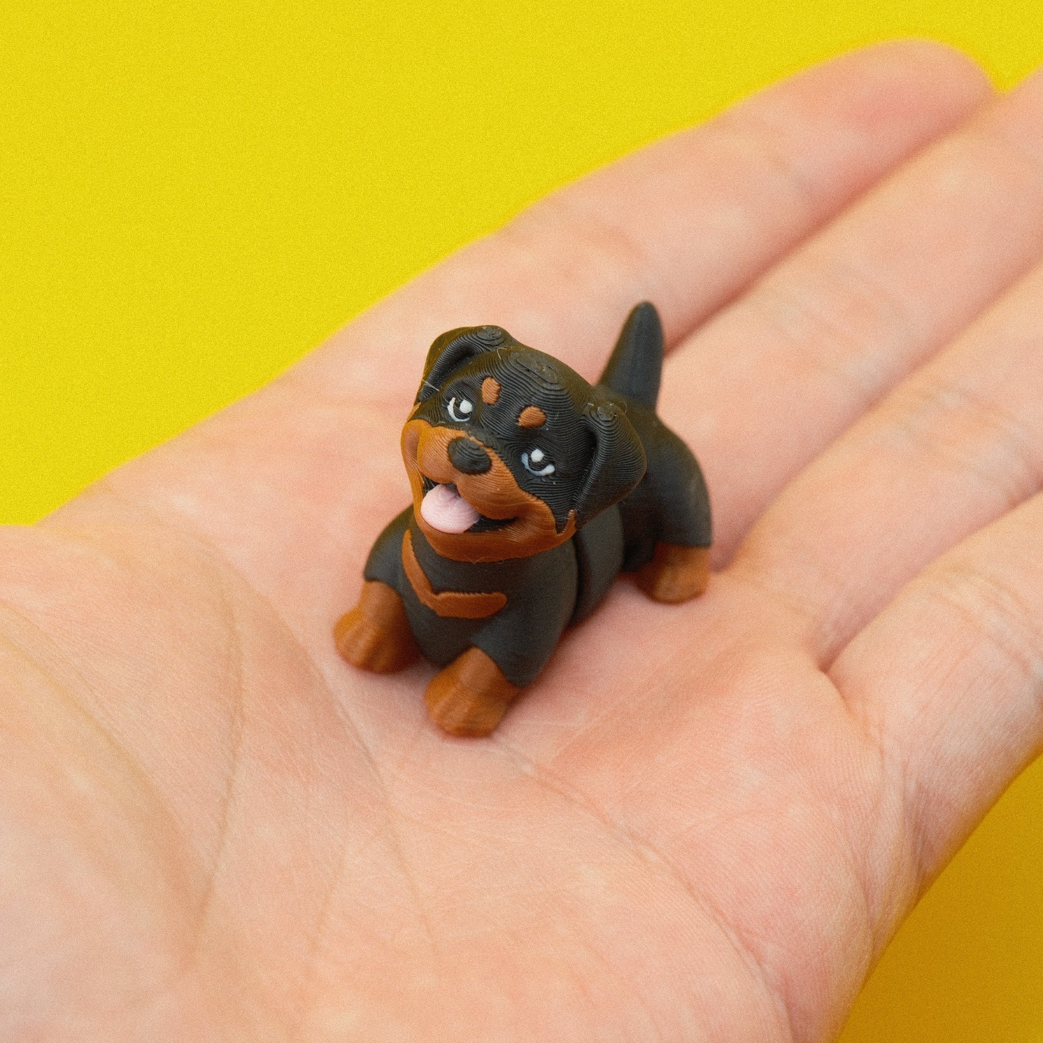 Rottweiler