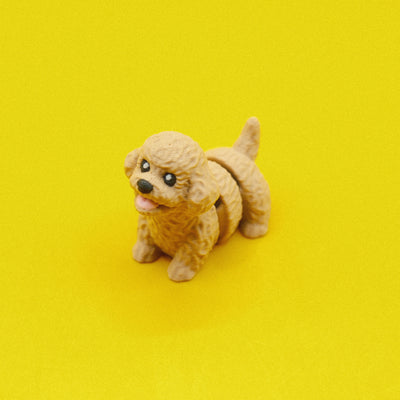 Poodle