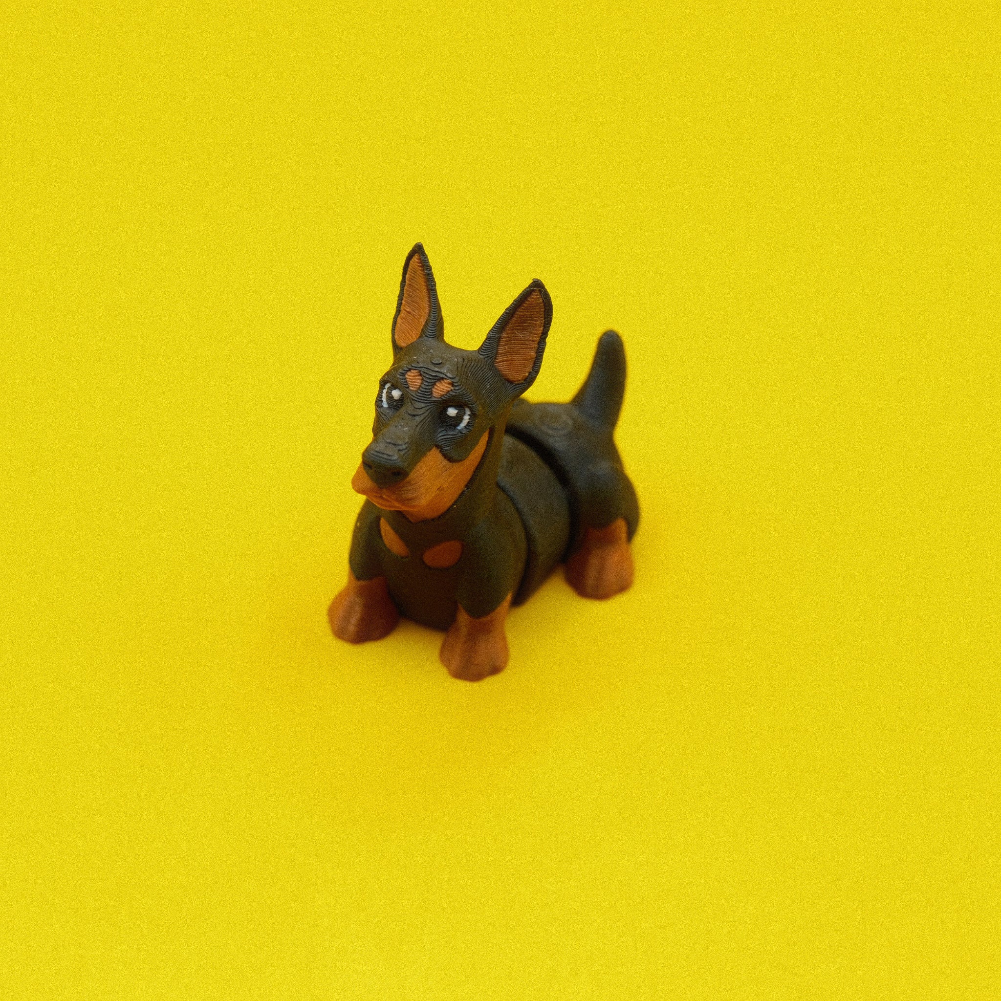 Doberman