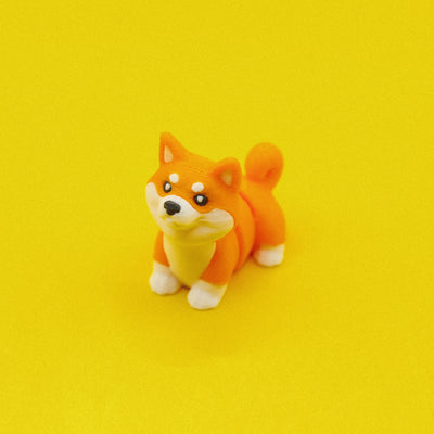 Shiba