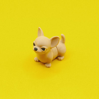 Chihuahua