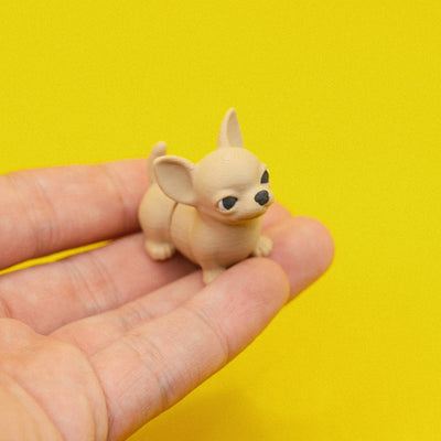 Chihuahua