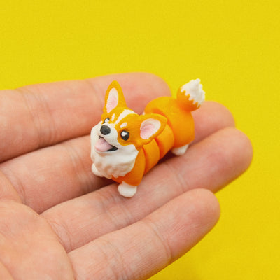 Corgi