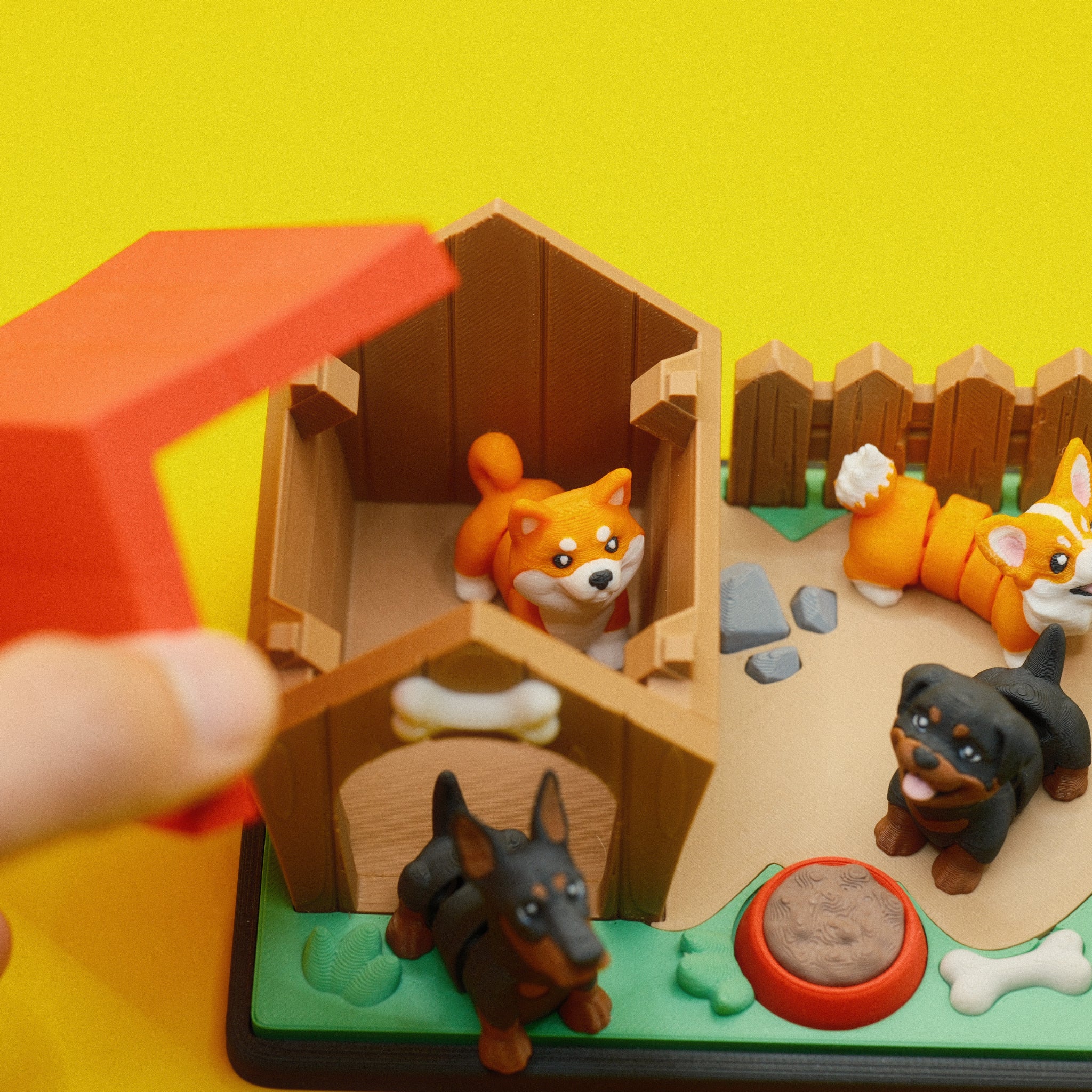 Dog House