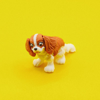 King Charles Spaniel