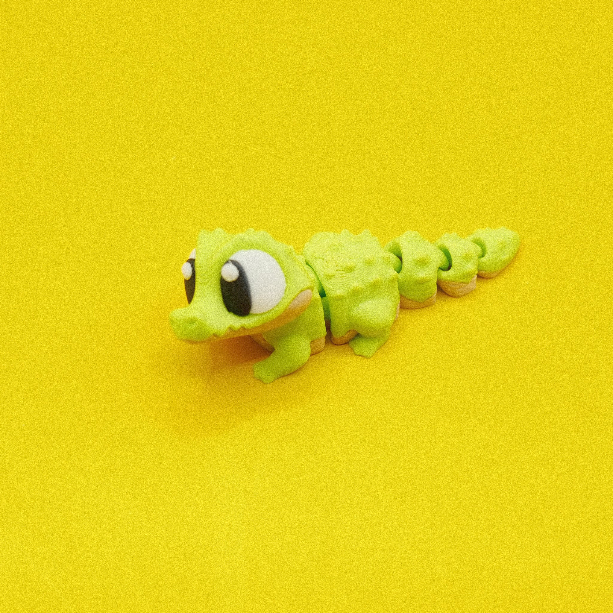 Crocodile