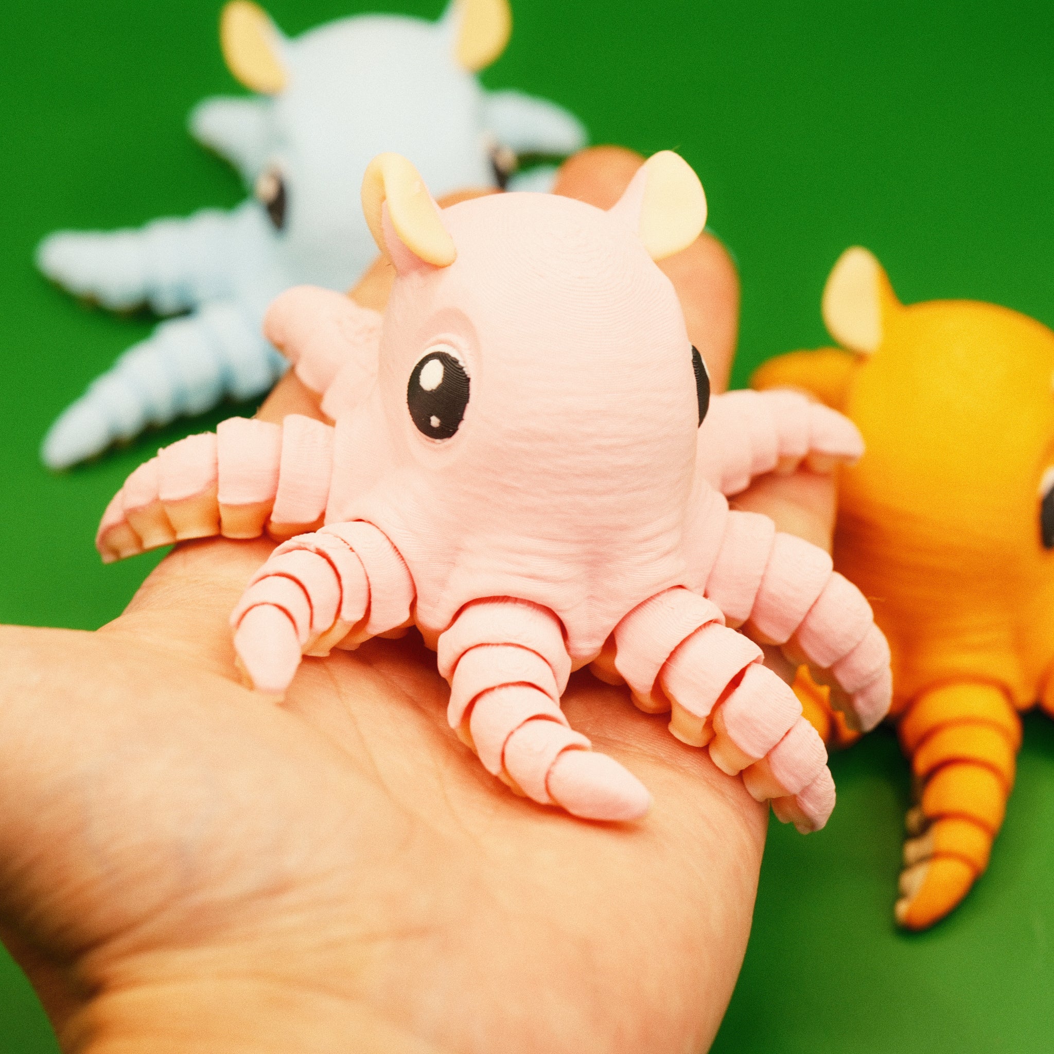 Flapjack Octopus