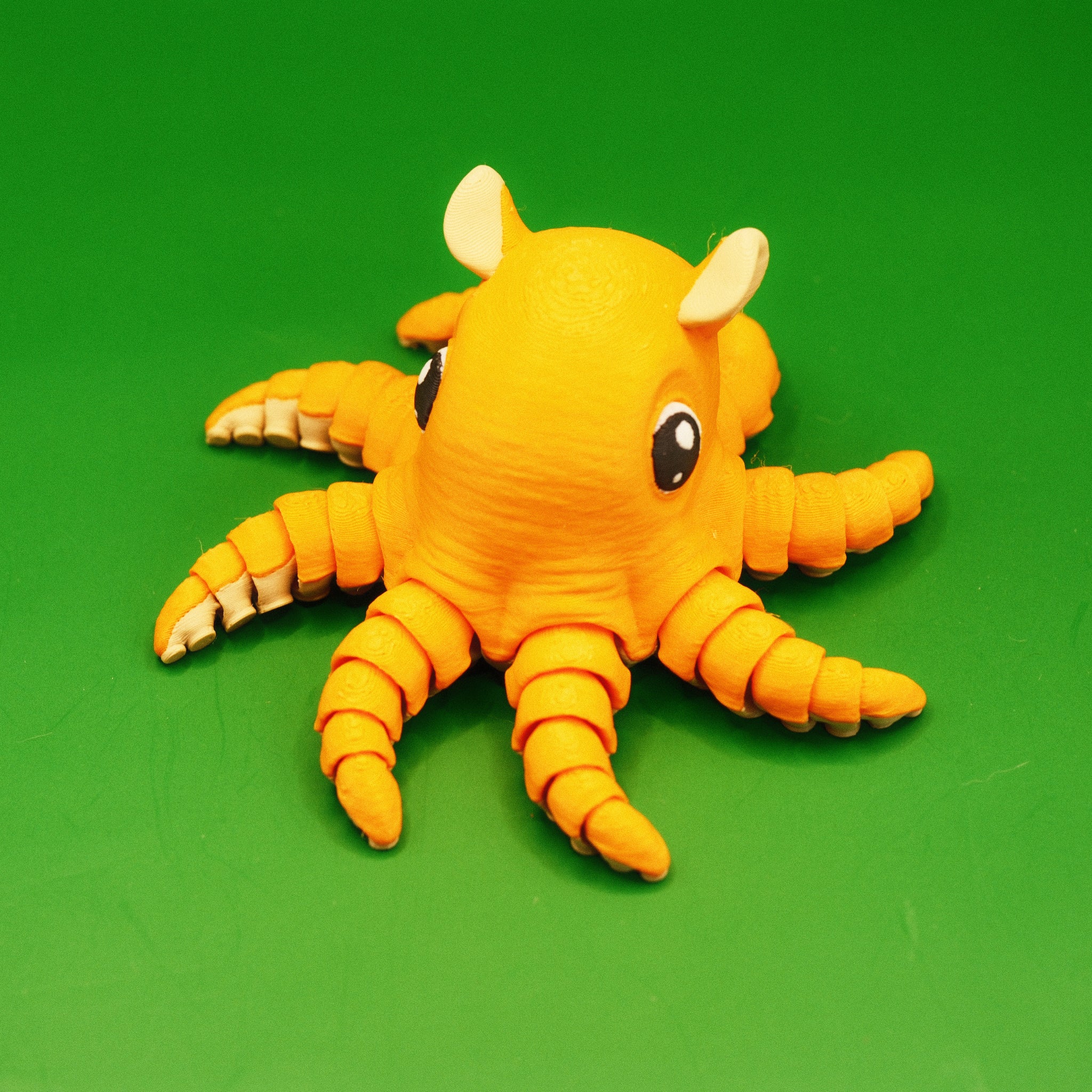 Flapjack Octopus