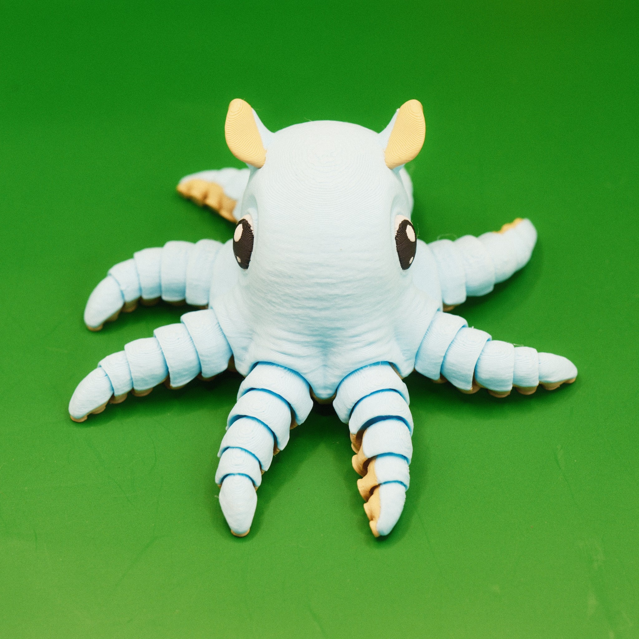 Flapjack Octopus
