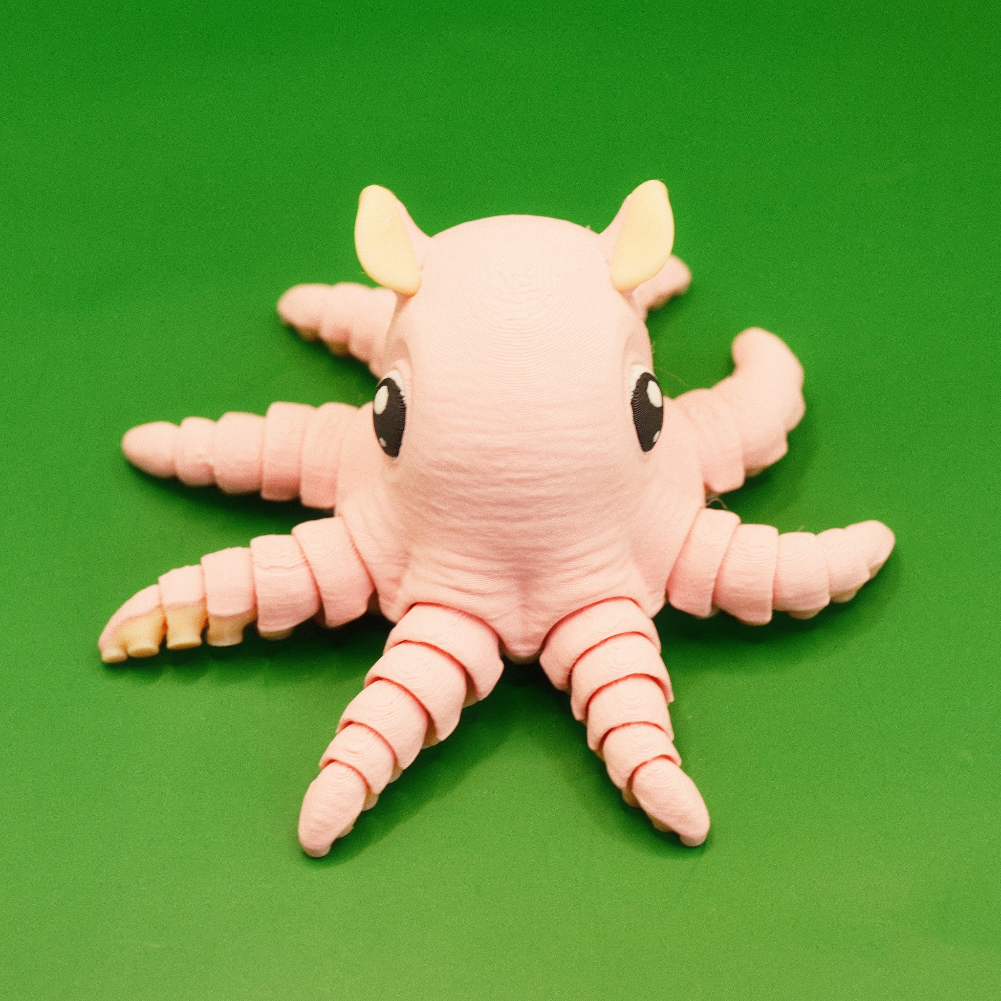 Flapjack Octopus