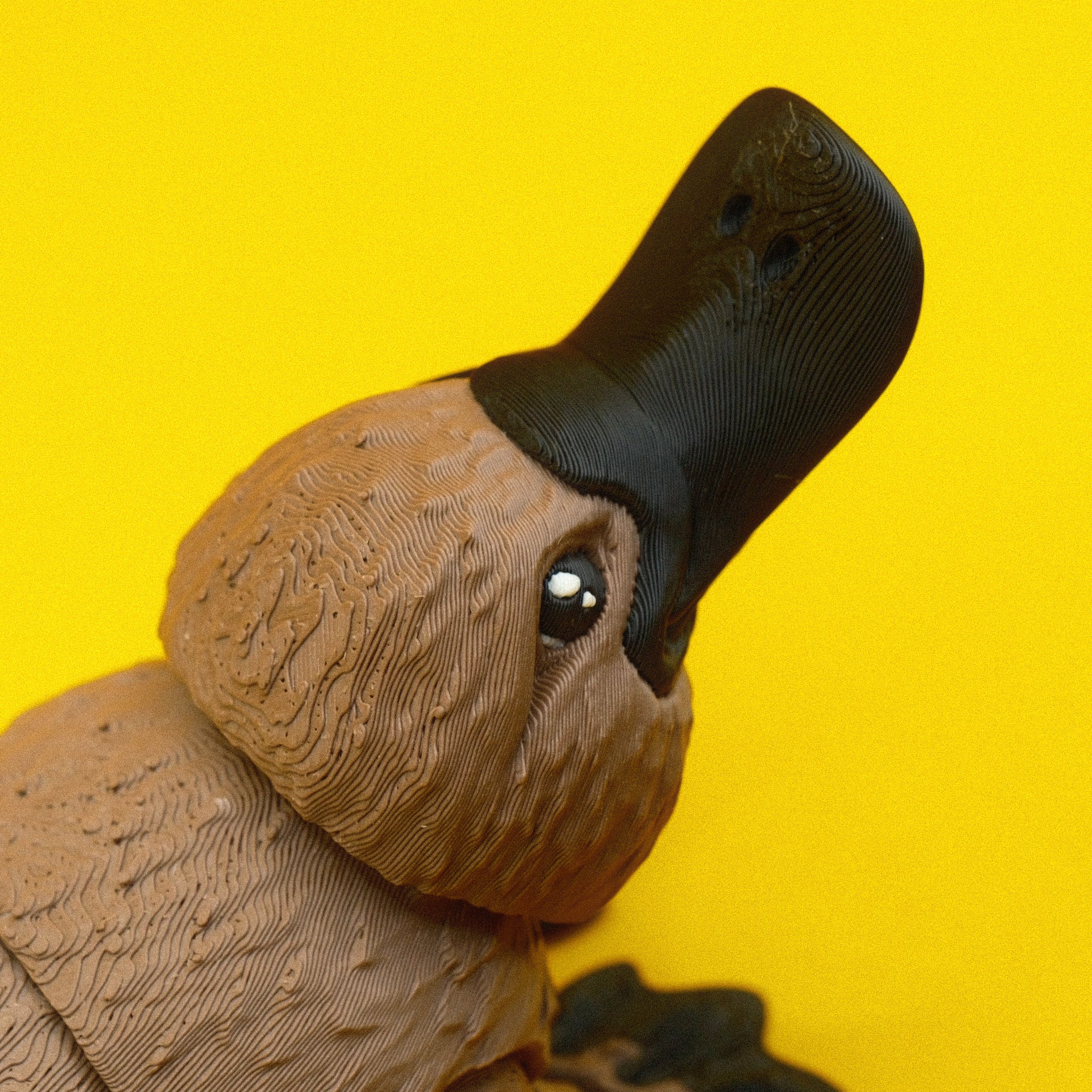Platypus