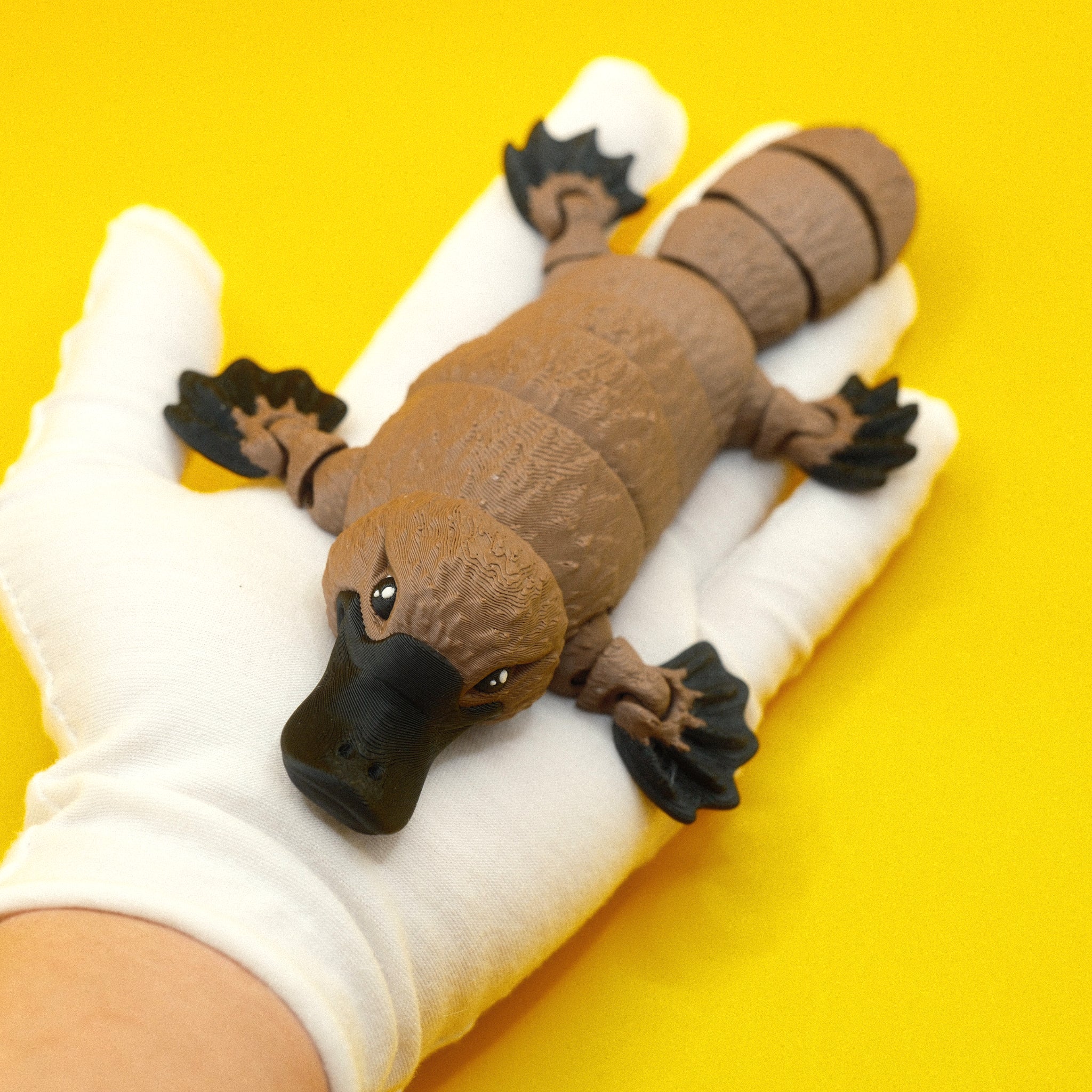 Platypus