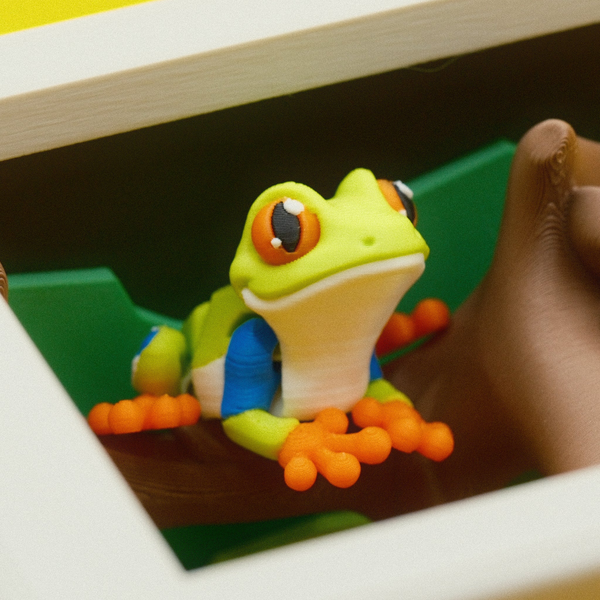 Frog Toy Set – WOBBL3D