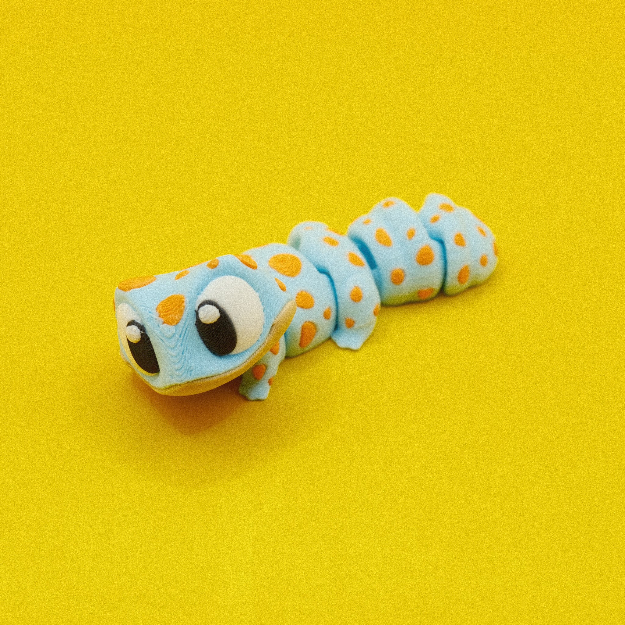 Spotted Gecko