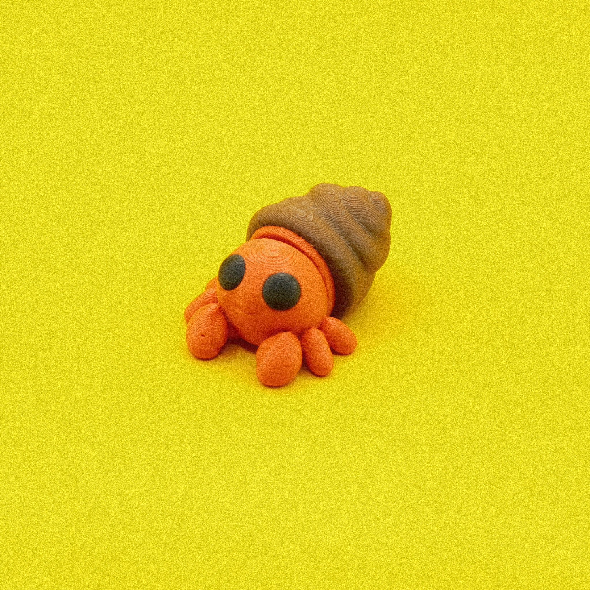 Hermit Crab