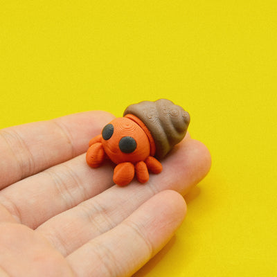 Hermit Crab