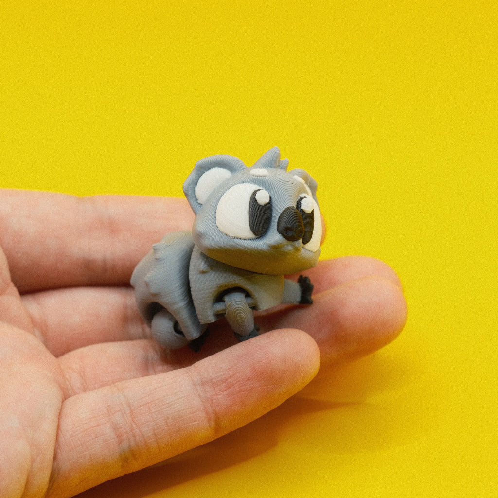 Koala