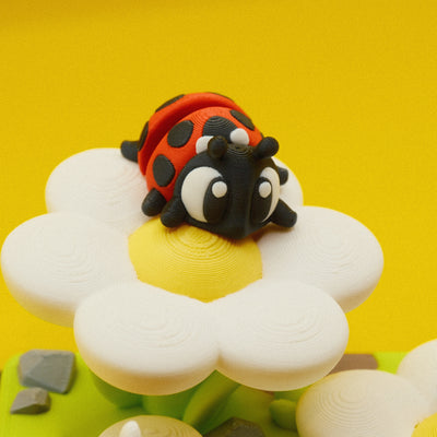 Ladybug Garden