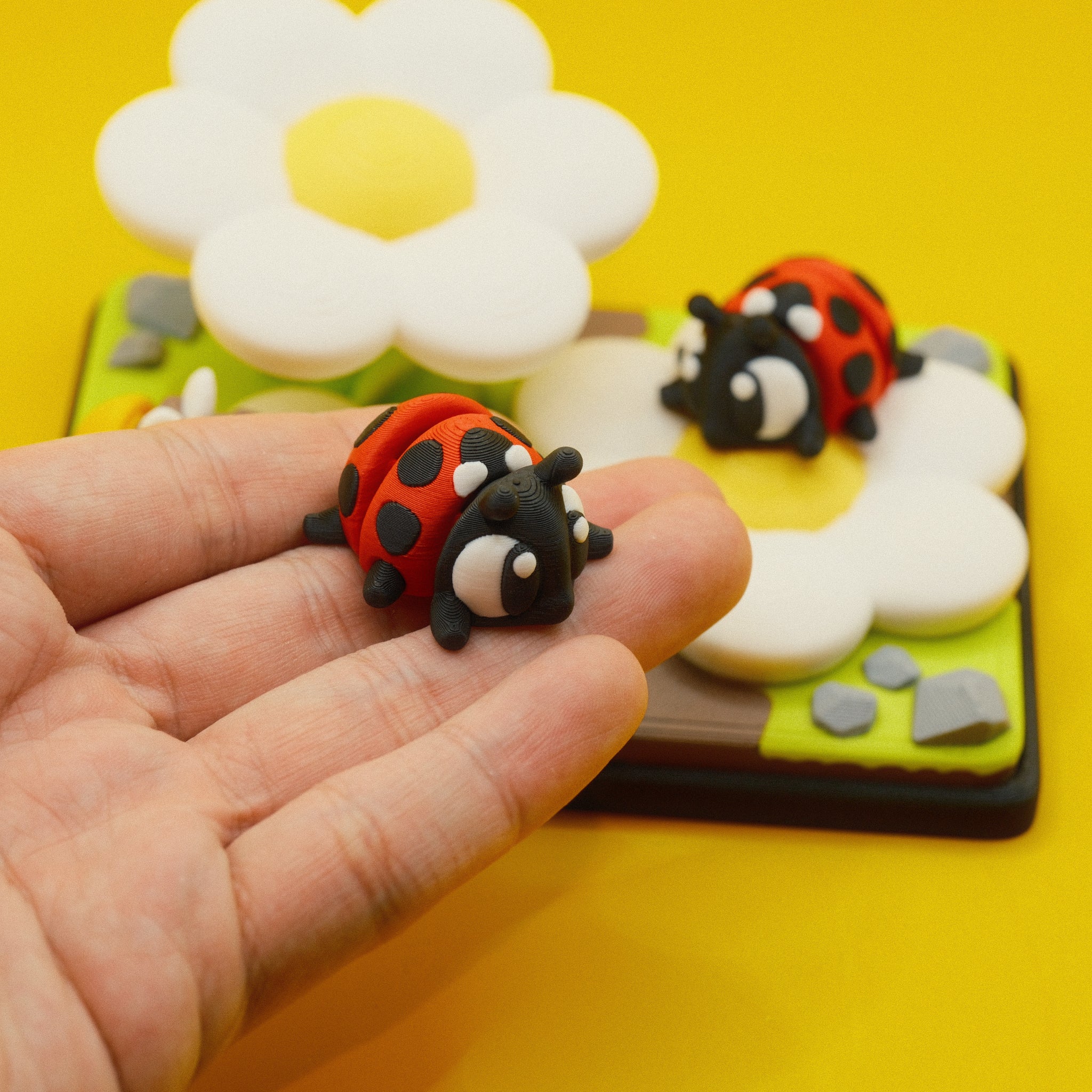 Ladybug Garden