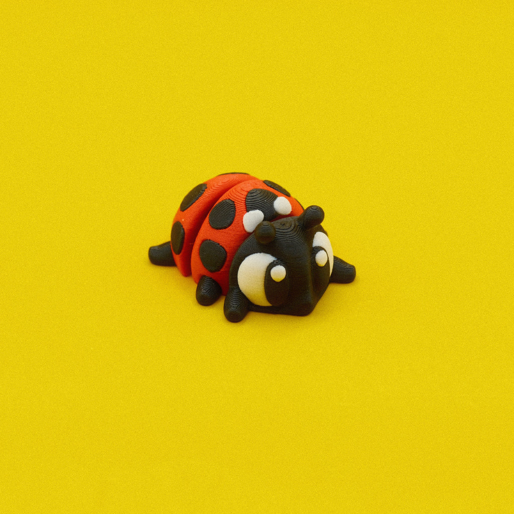 Ladybug