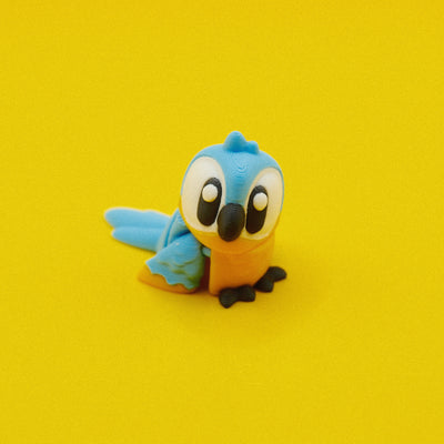 Macaw