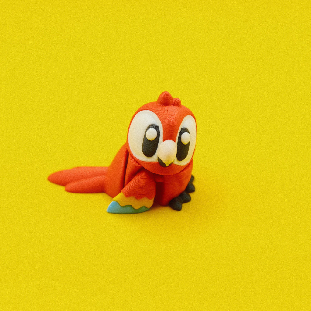 Macaw