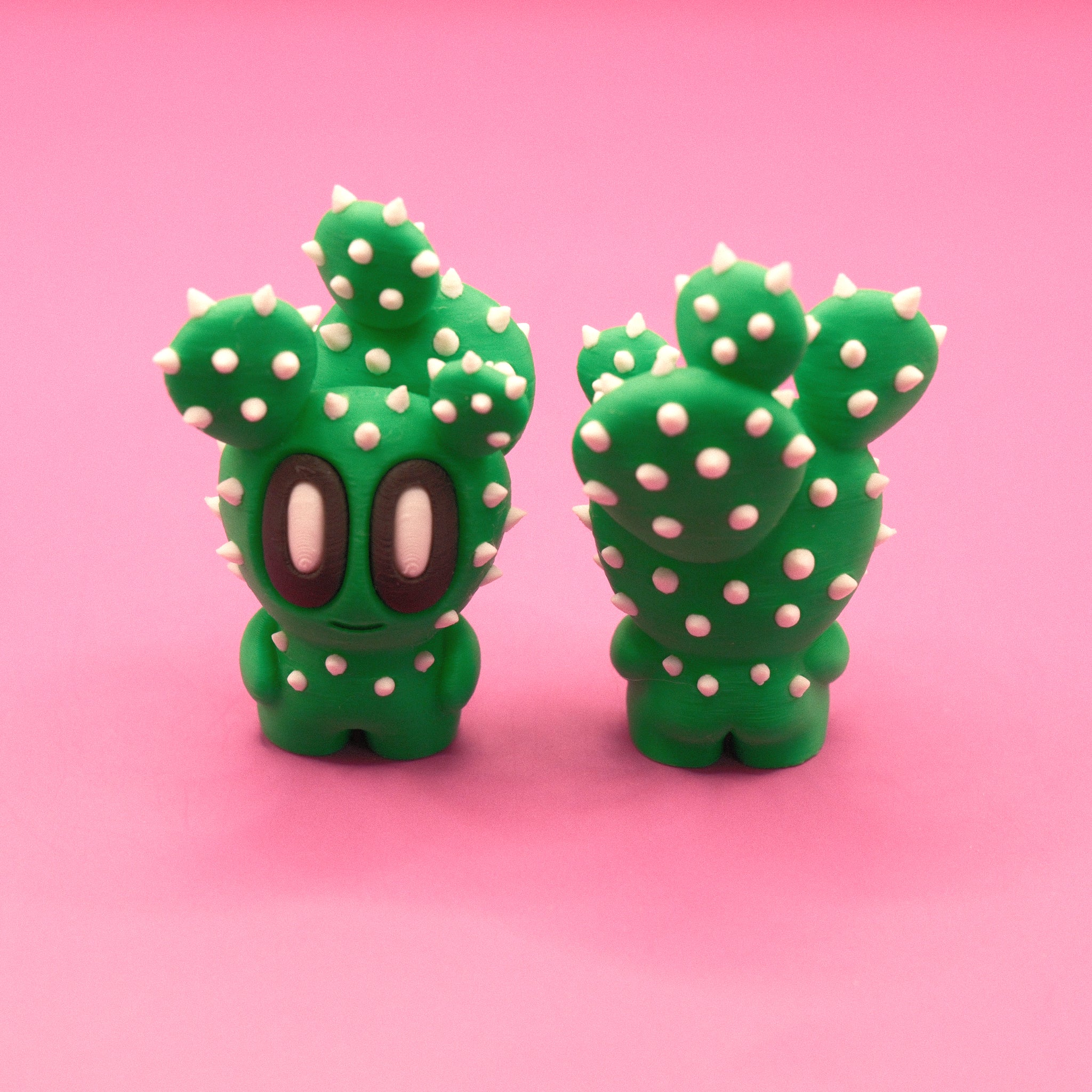 Prickly Pear Cactus