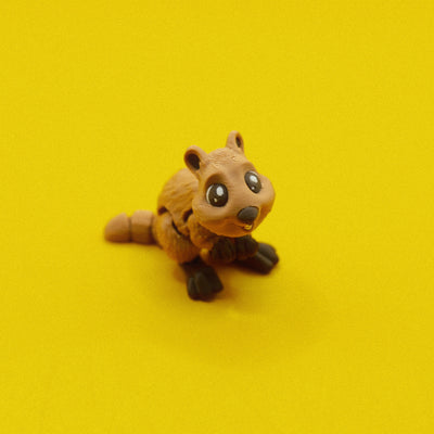 Quokka