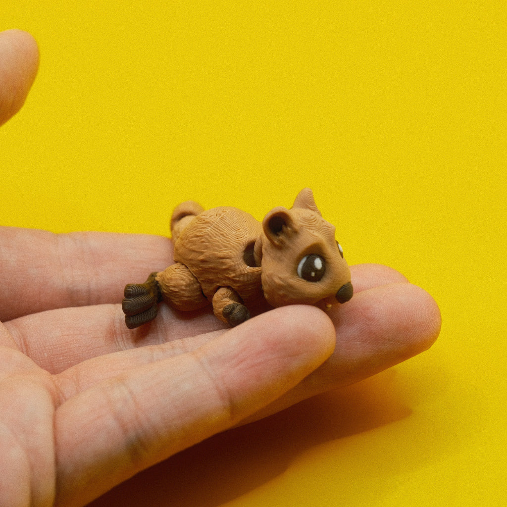 Quokka