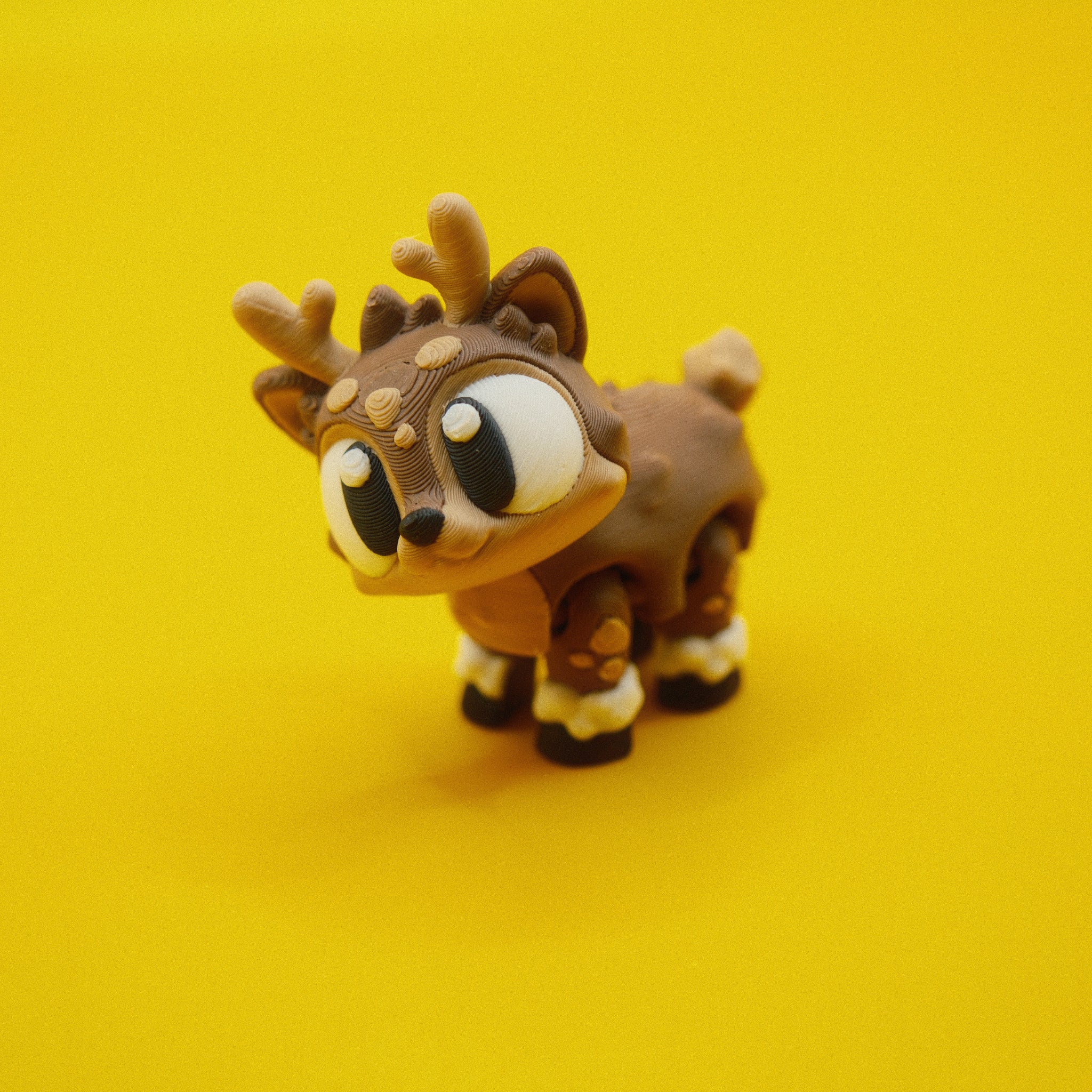 Reindeer