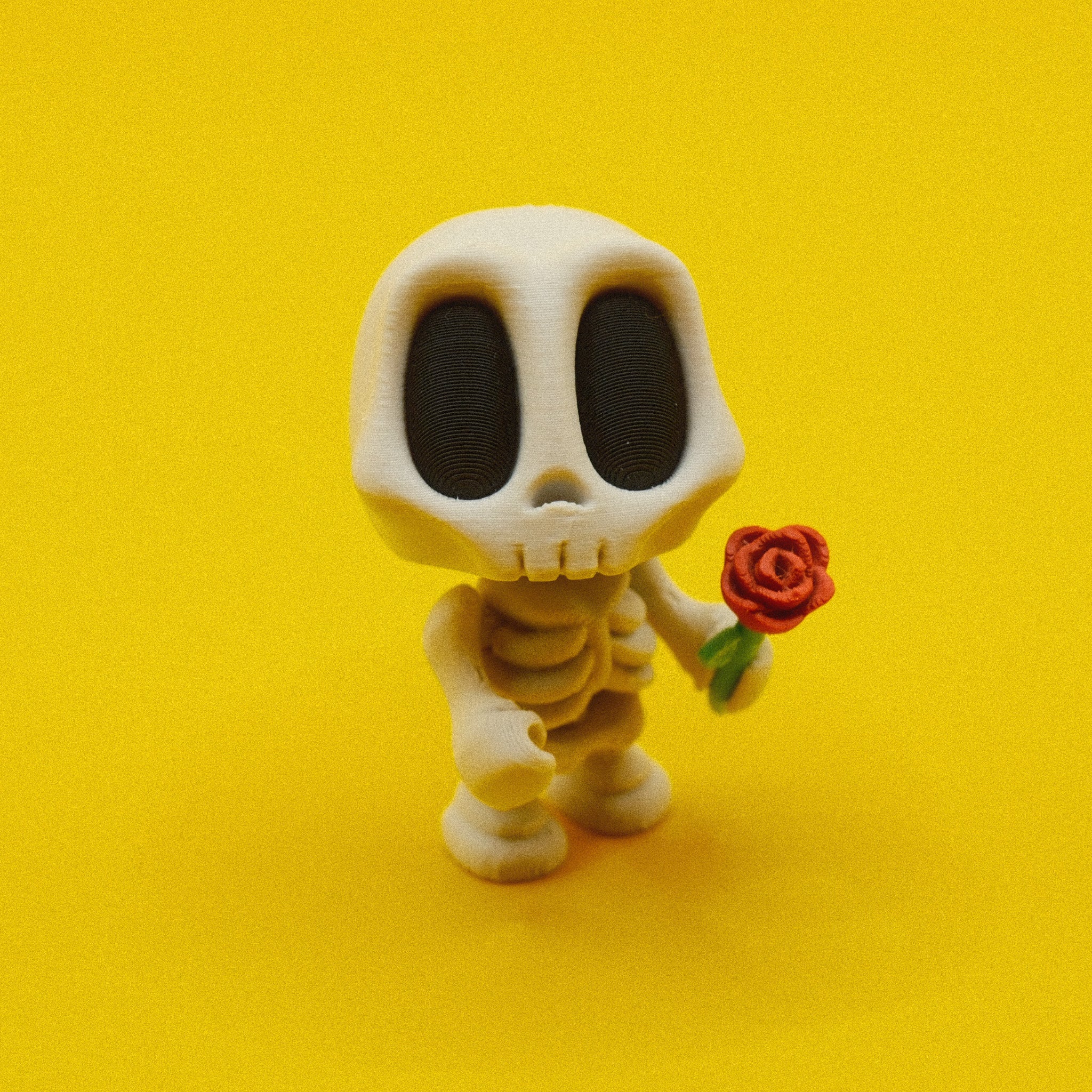 Skeleton with Rose