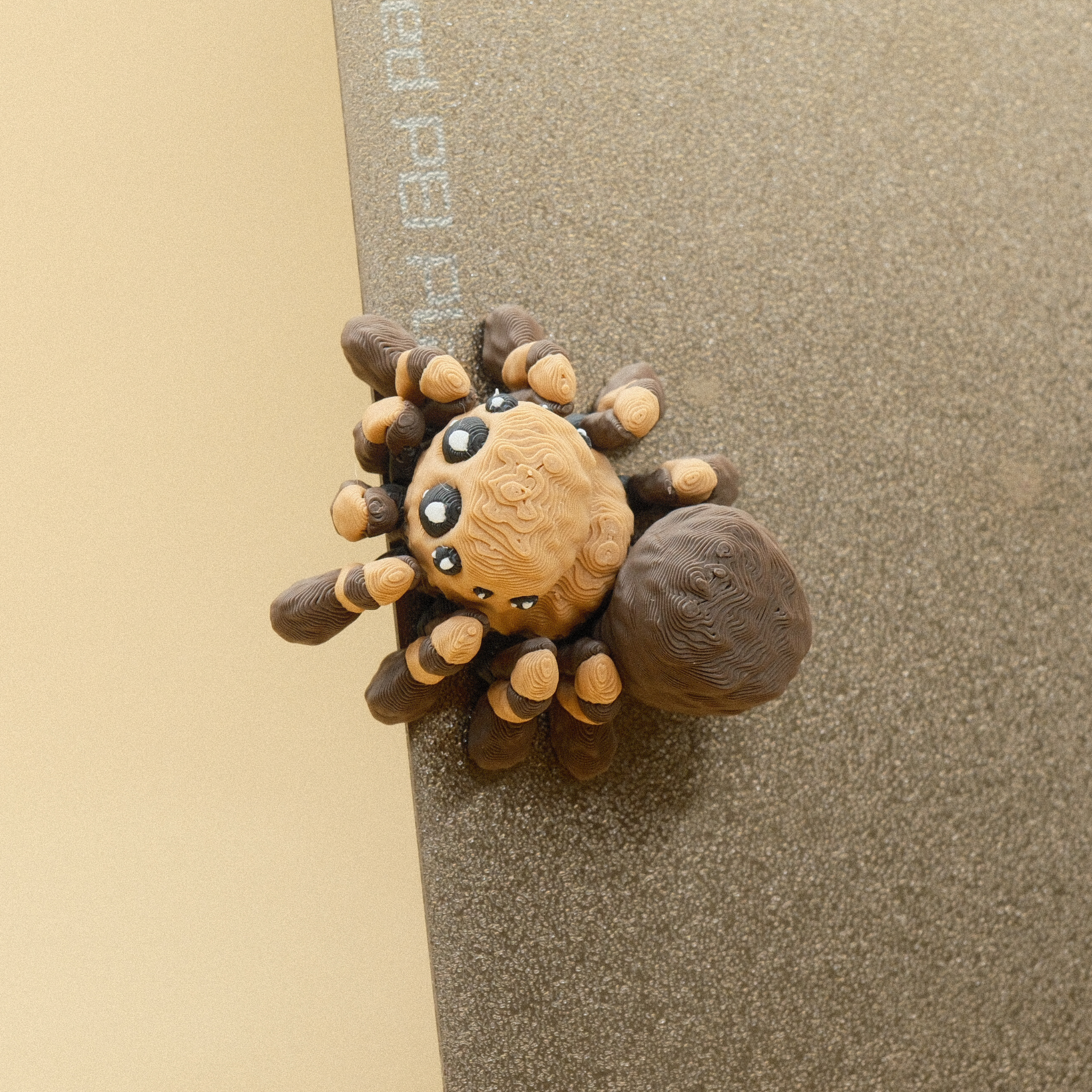 Spider Magnet